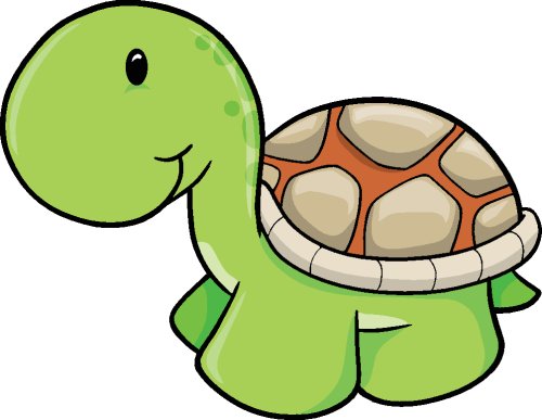 vẽ con rùa 16