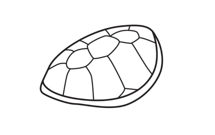 vẽ con rùa 5