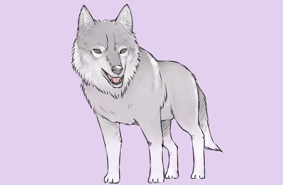 vẽ con sói 1