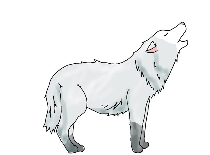 Dạy vẽ chó sói chibi và con cáo chibi đơn giản nhất