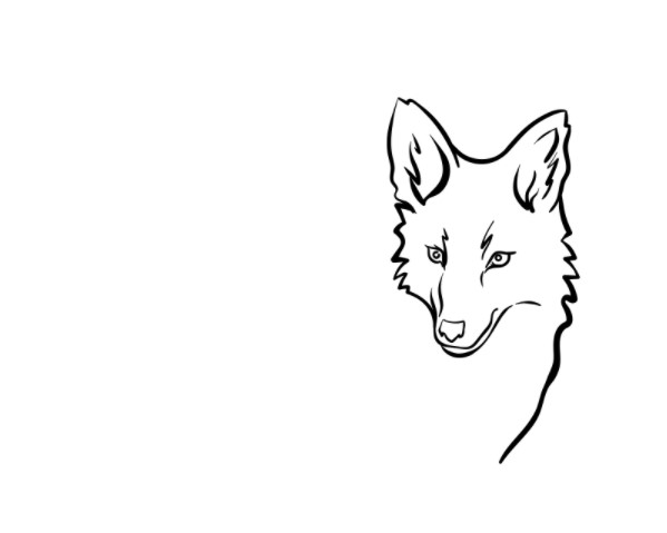 vẽ con sói 2