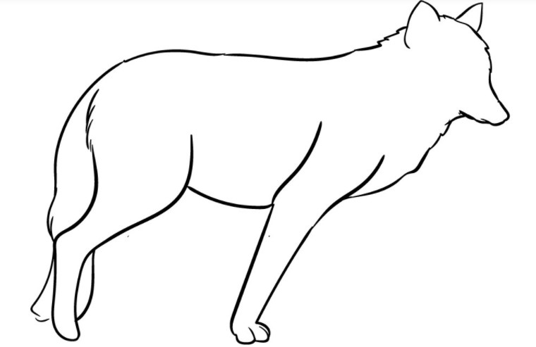 Hướng dẫn cho người mới bắt đầu Cách vẽ con chó sói đơn giản nhất Không cần  nhiều kỹ năng nghệ thuật
