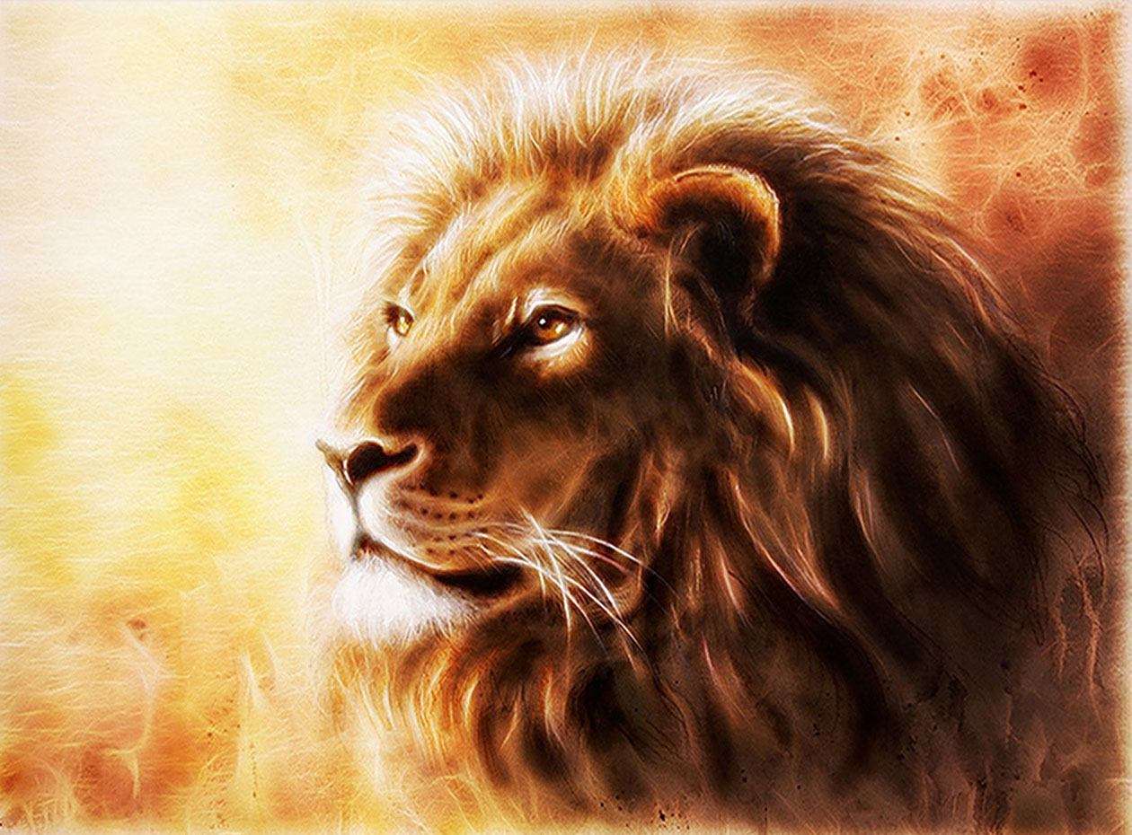 vẽ sư tử 25