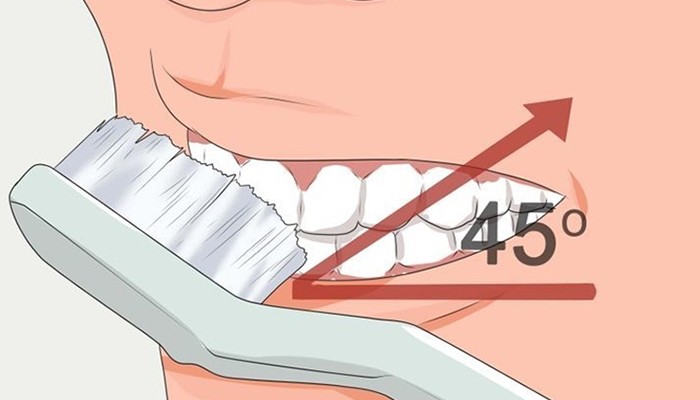 cách đánh răng đúng cách 2