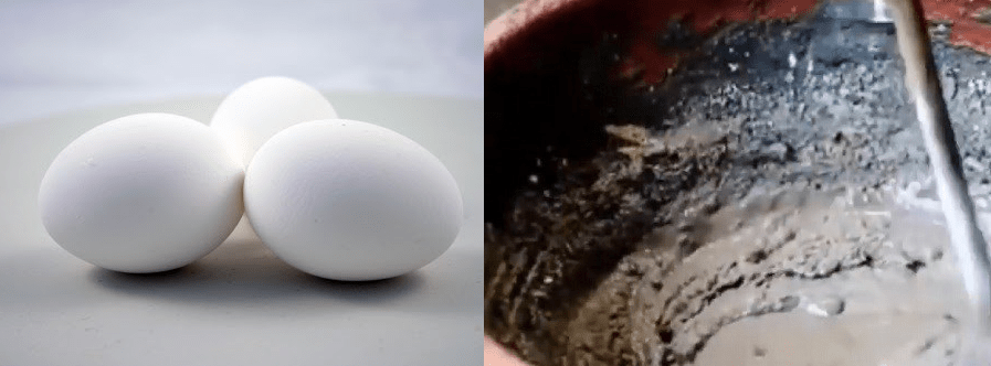 cách làm trứng bắc thảo