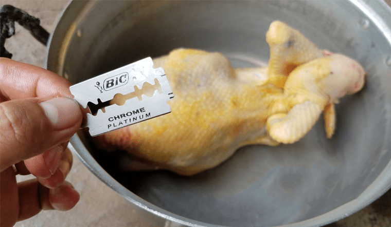 Cách làm gà hấp lưỡi lam