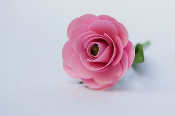 Cách làm hoa hồng bằng giấy