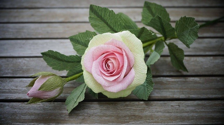 6 Cách làm hoa hồng bằng giấy [Nhún, Giấy vệ sinh, Ruy băng, Giấy A4] - THCS Võ Thị Sáu