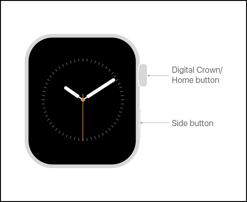 cách sử dụng apple watch 2