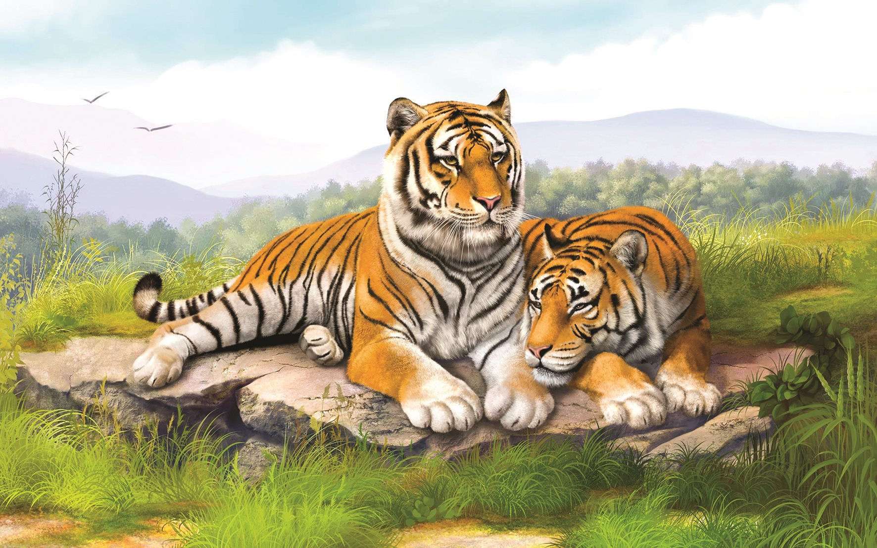 Nhâm Dần sinh năm 1962 là tuổi con hổ