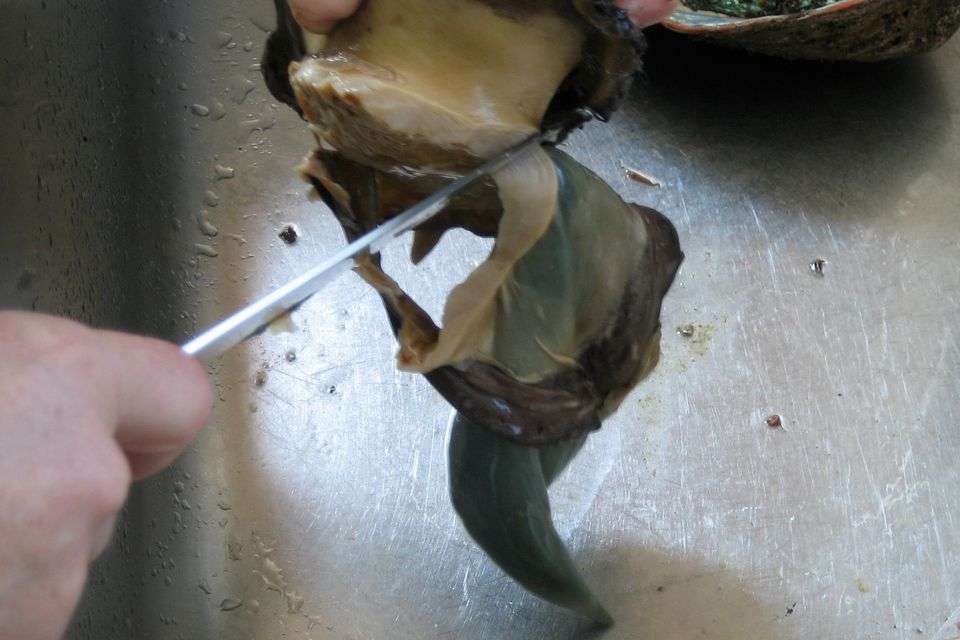 cắt thịt bào ngư