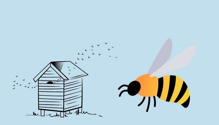 Mơ thấy ong bay vào nhà là điềm gì
