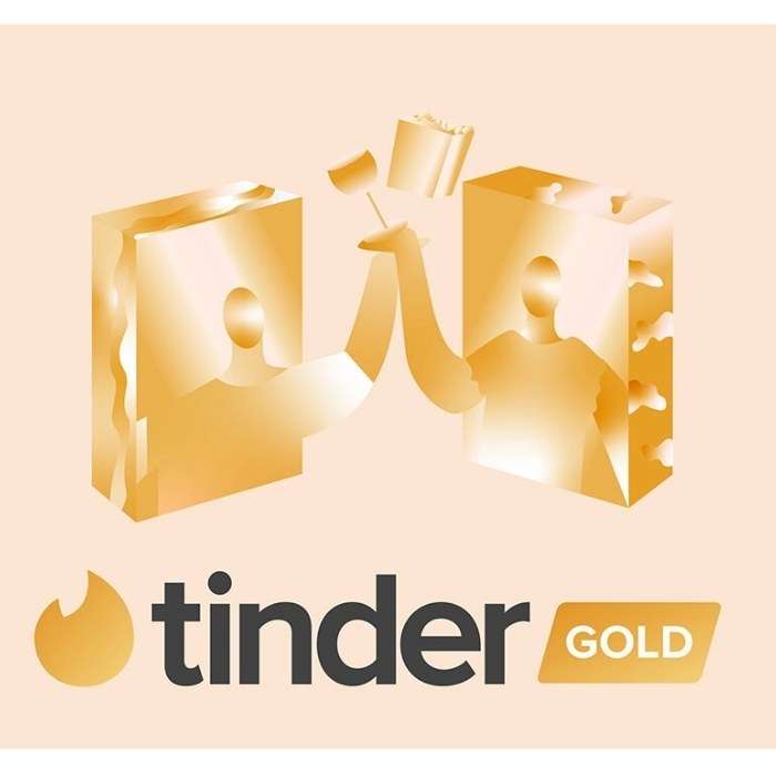 Đánh giá Tinder Gold