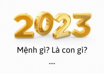 sinh năm 2023