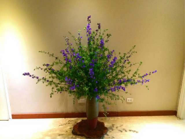 Cách cắm hoa violet đẹp siêu đơn giản