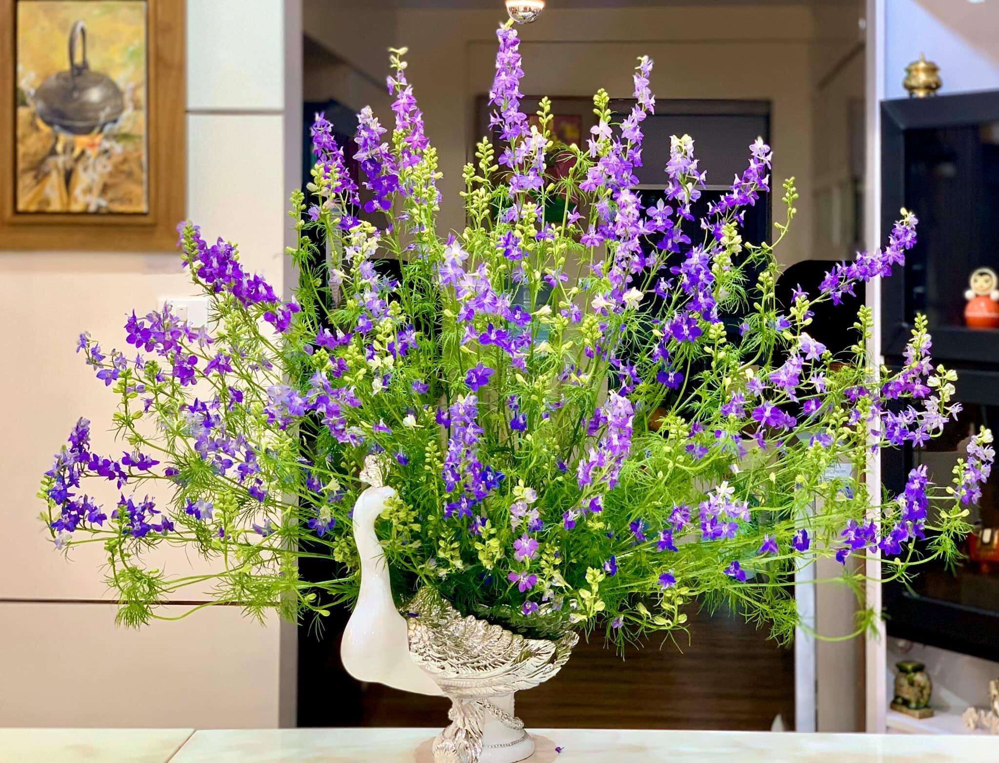 Cách cắm hoa violet đẹp siêu đơn giản cho dịp Tết