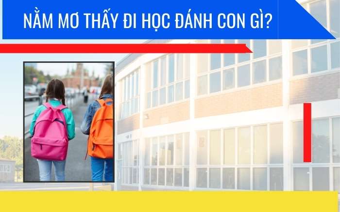 Nằm mơ thấy đi học đánh con gì