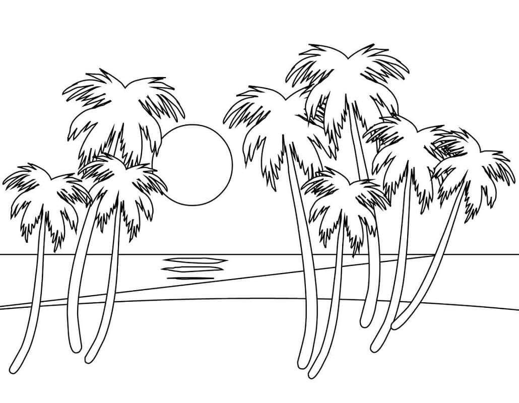 cách vẽ cây dừa 11