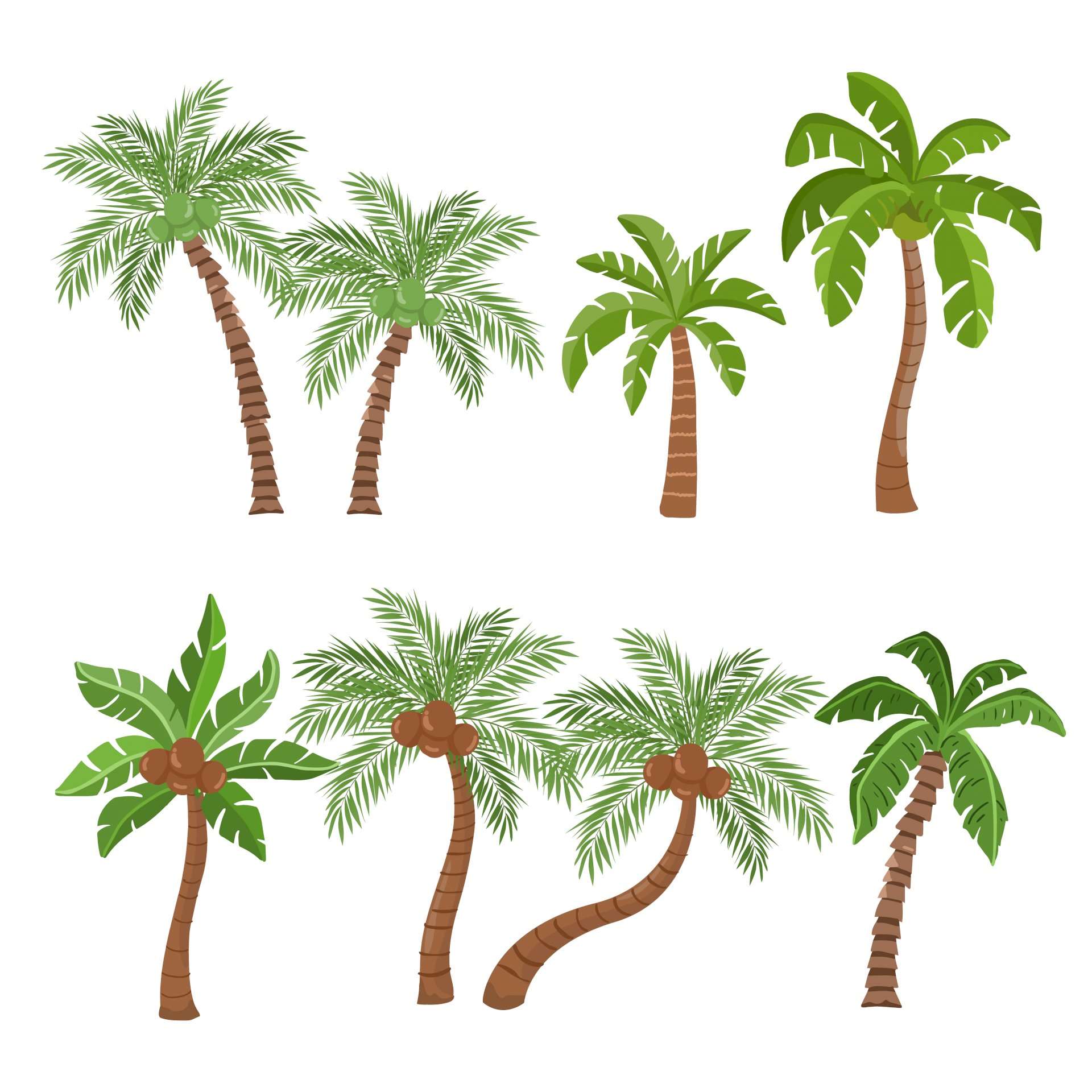 cách vẽ cây dừa 13