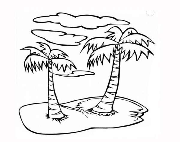 cách vẽ cây dừa 16