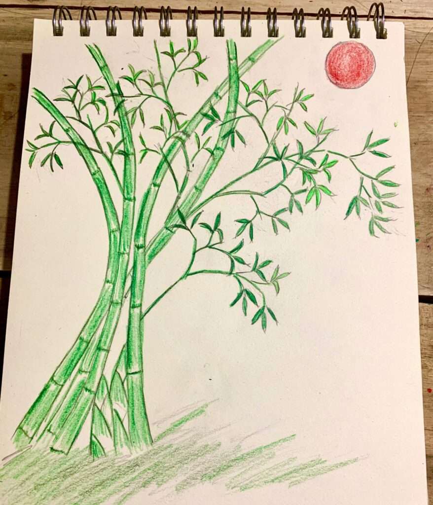 cách vẽ cây tre 7