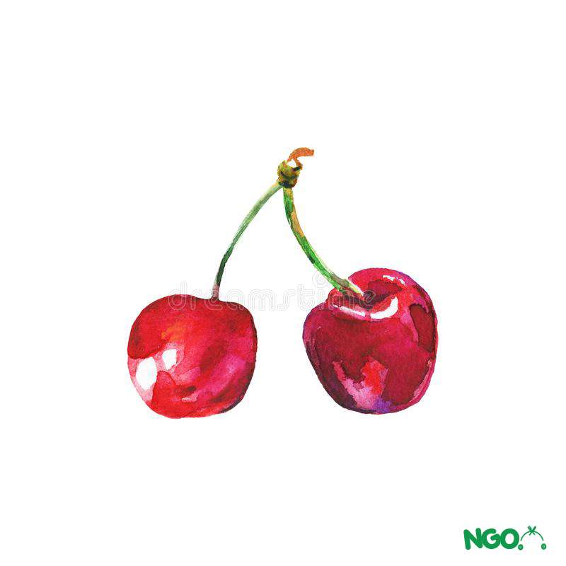 cách vẽ quả cherry 18