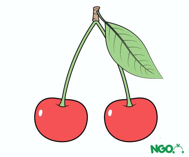 cách vẽ quả cherry 8