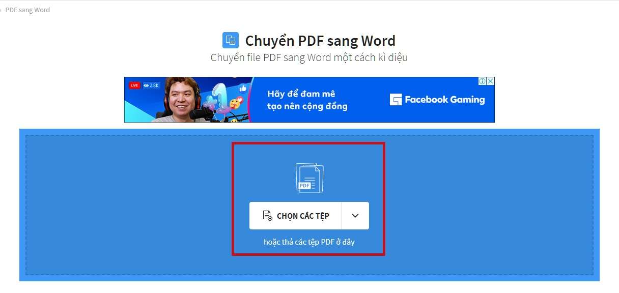 chuyển pdf sang word không bị lỗi font 5