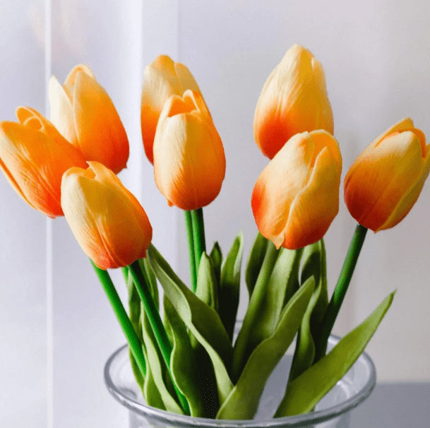 ý nghĩa hoa tulip 1
