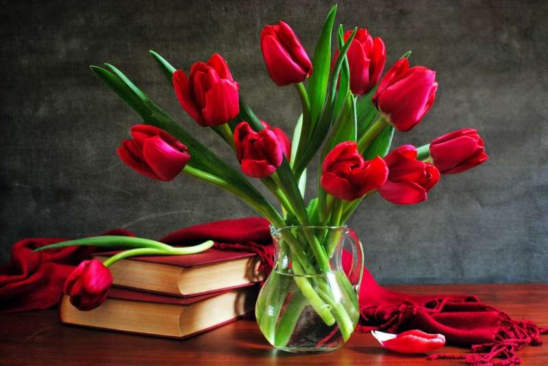 ý nghĩa hoa tulip 7