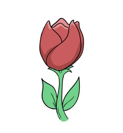 cách vẽ hoa tulip 4